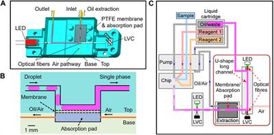 Highly sensitive absorbance measurement using droplet microfluidics integrated with an oil extraction and long pathlength detection flow cell